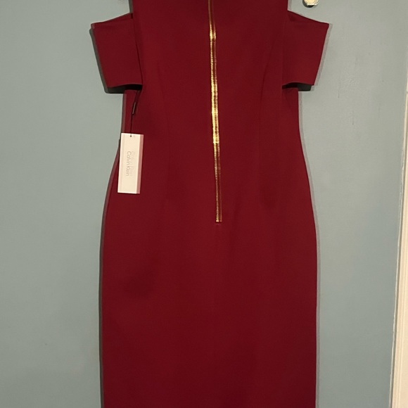 SELLING CALVIN KLEIN DRESS SIZE 10 COLOR RED PLUM BNWT - Picture 14 of 16